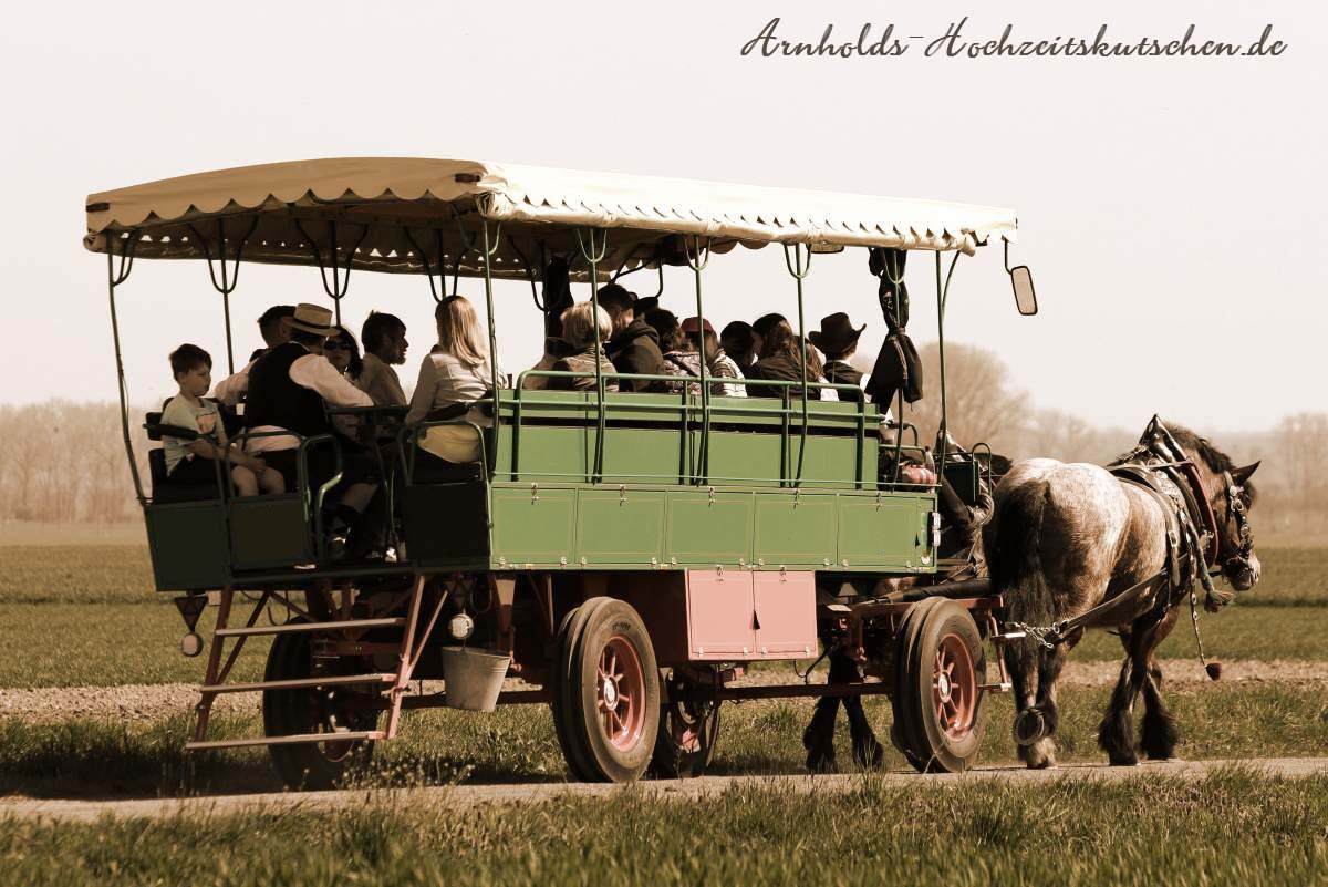 Kremser Kutschfahrt am Seepark Auenhain